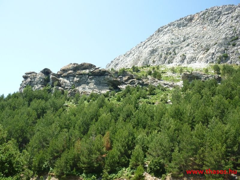 balazsh 2011